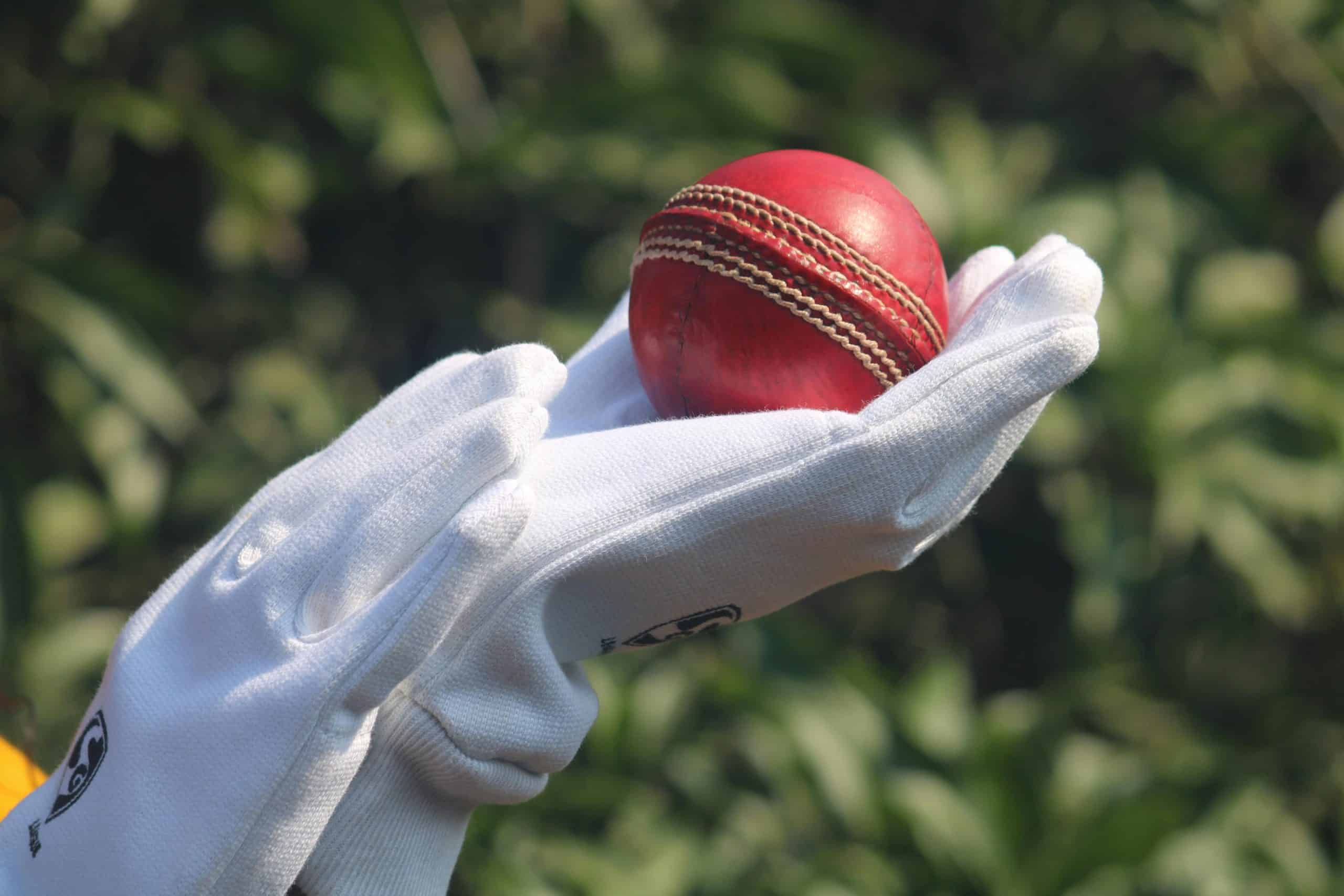 Best Sports Betting Site 2025 at EGR marketing that hits the wicket